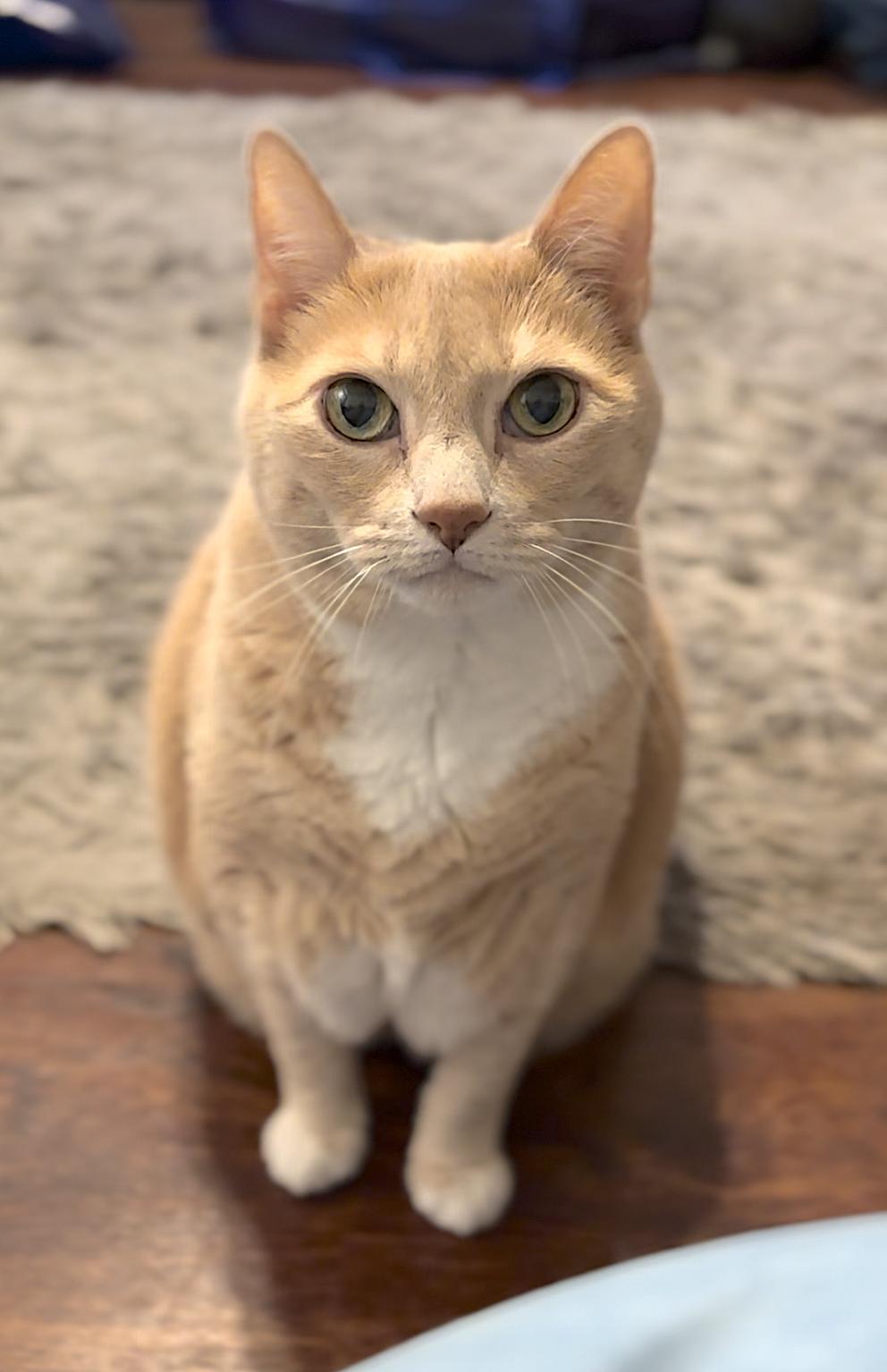 Peaches 2