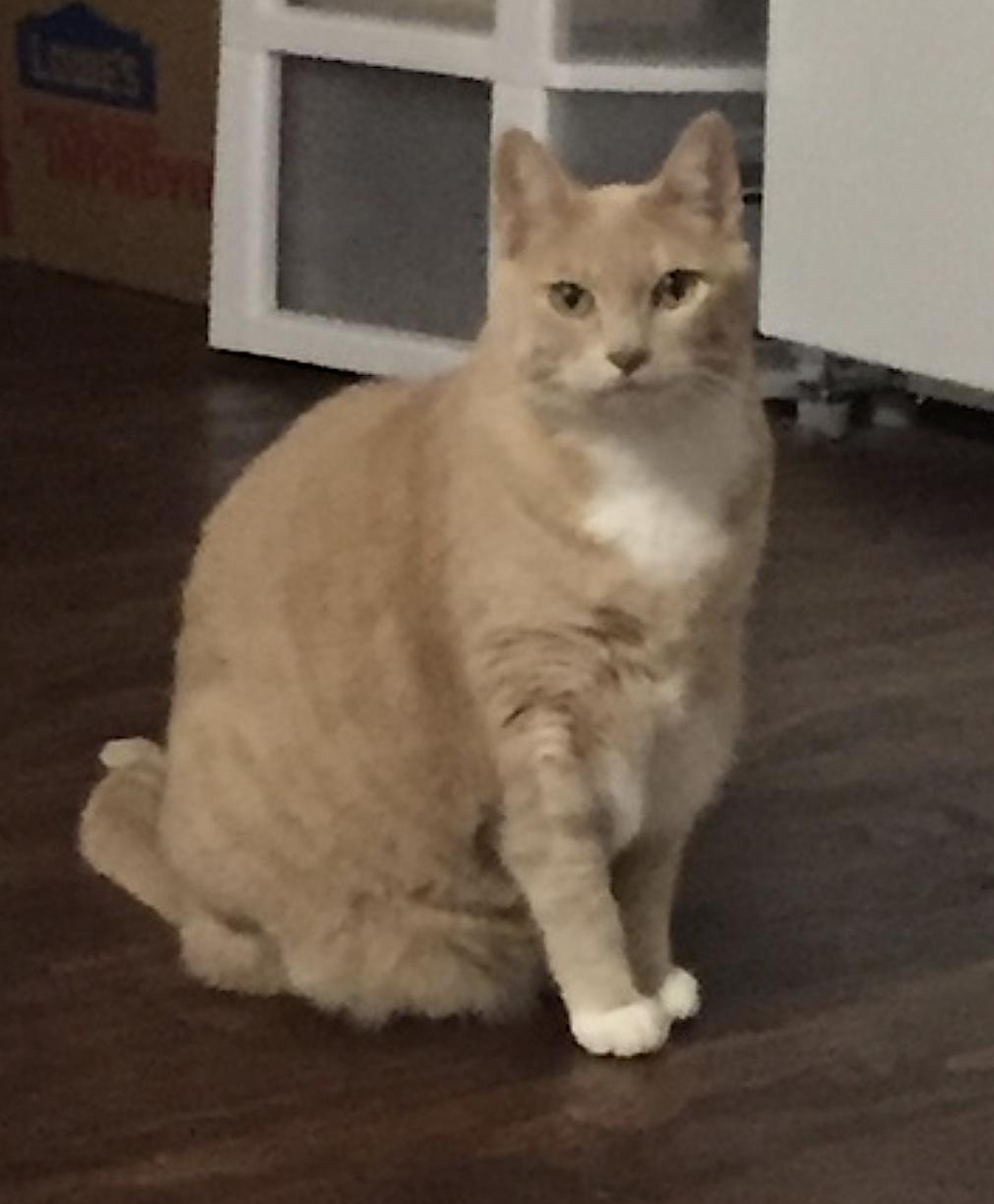 Peaches 5