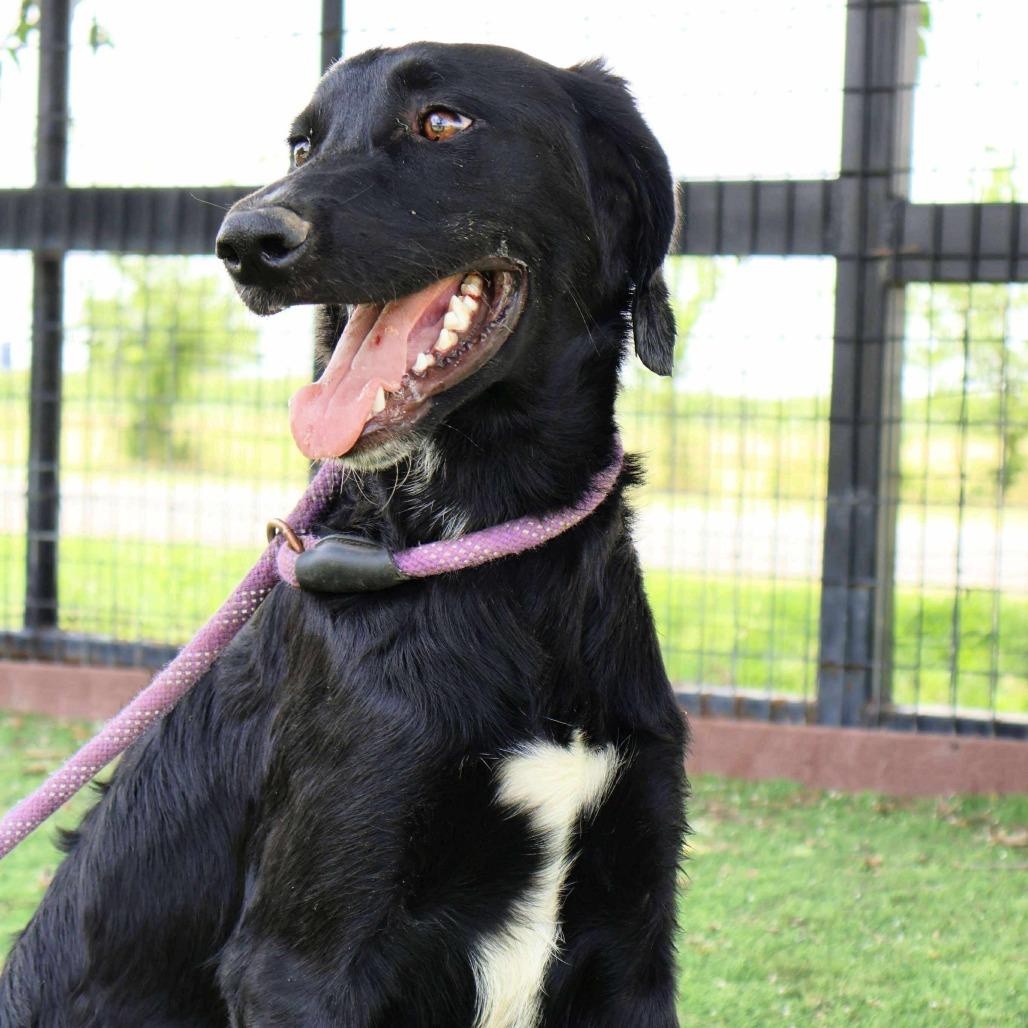 Karter JuM — thumbnail 2