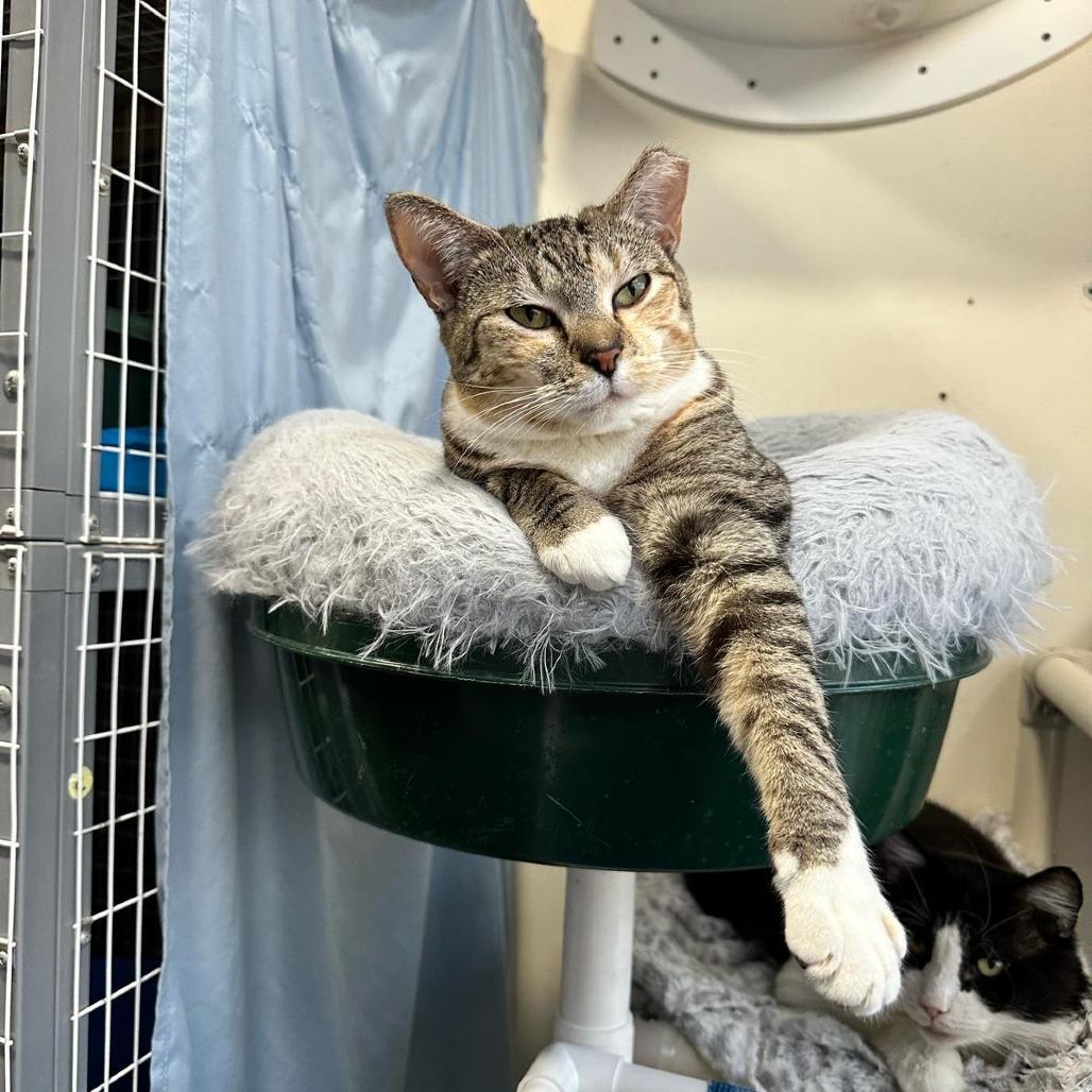 Wacky Cathy — thumbnail 2