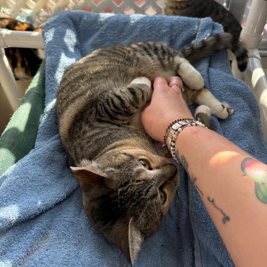 Wacky Cathy — thumbnail 4