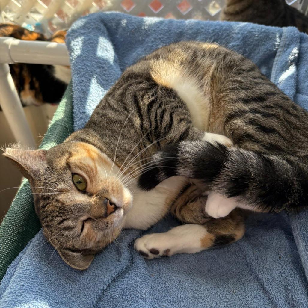 Wacky Cathy — thumbnail 5