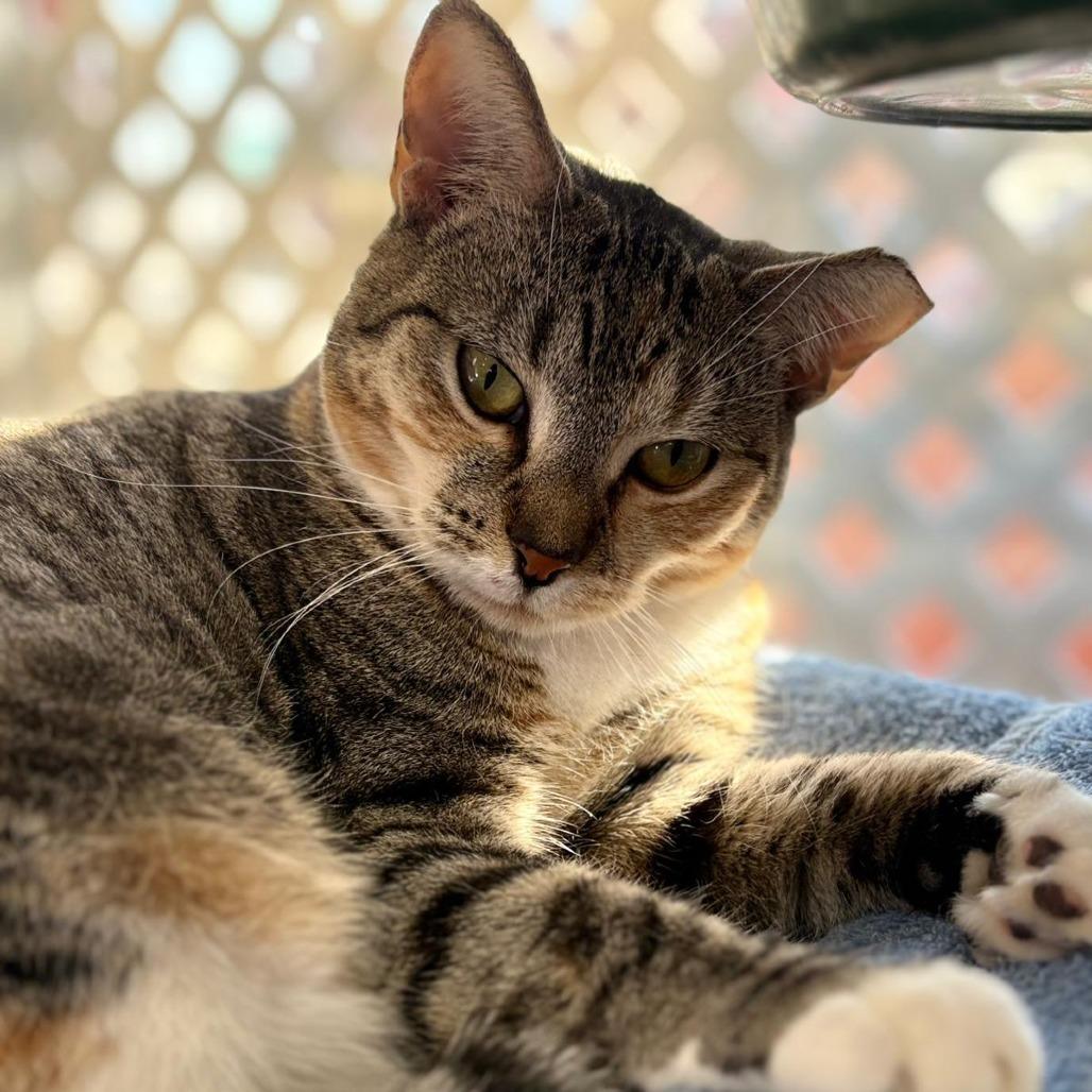 Wacky Cathy — thumbnail 6