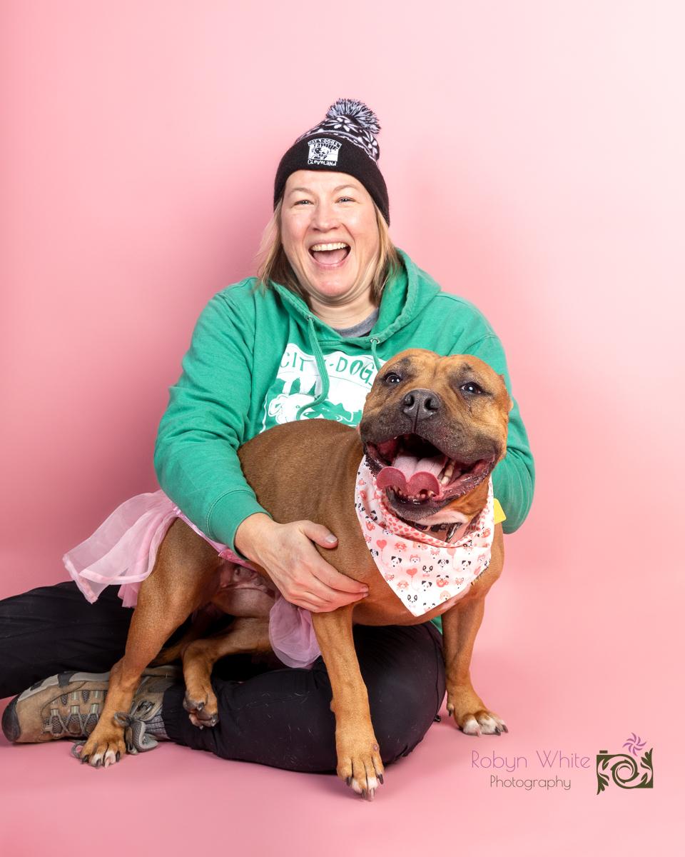 Sable, a Adoptable mixed breed in Cleveland, OH image 1/6