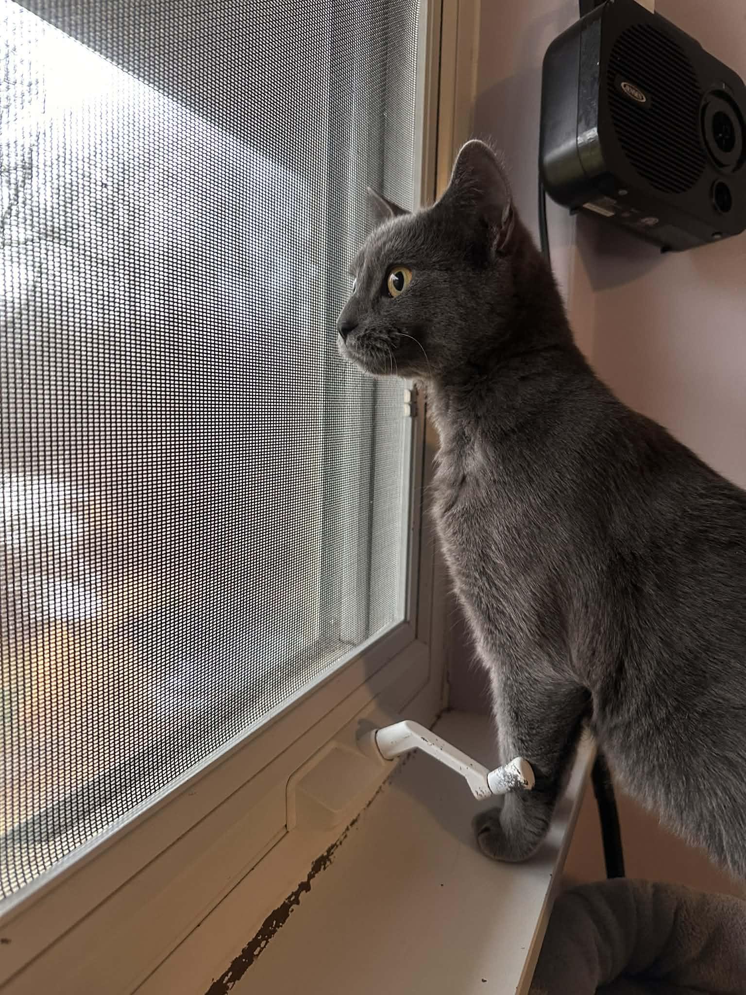 Zosia — thumbnail 2