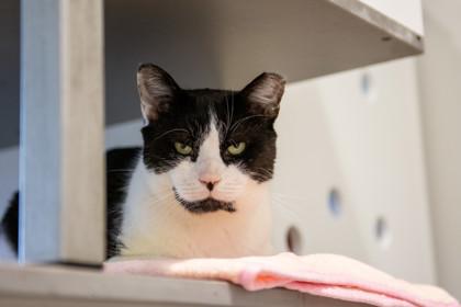 Luke — thumbnail 2