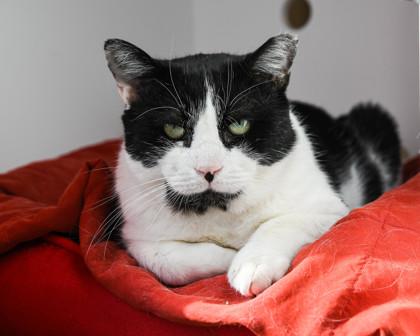 Luke — thumbnail 3