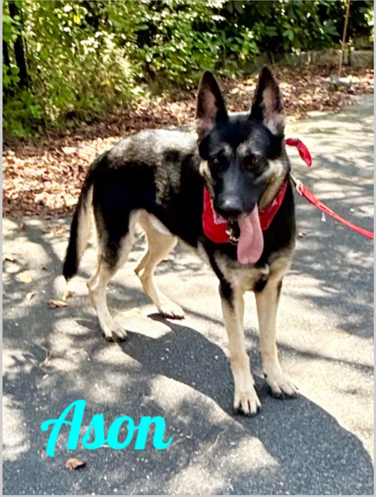 Ason
