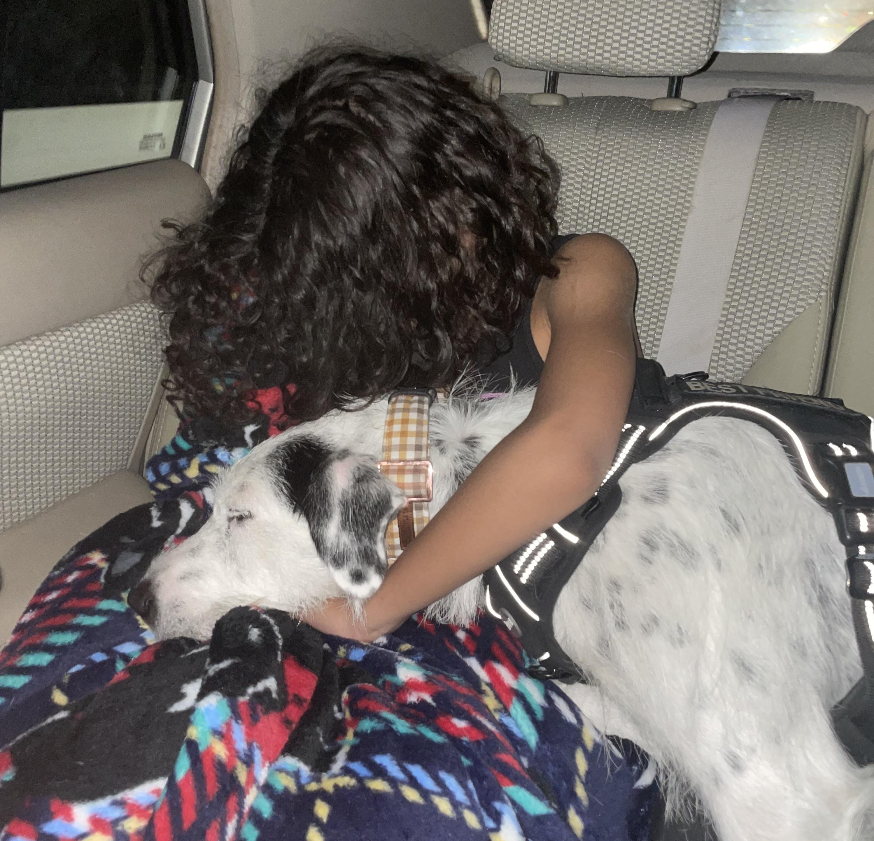 Wally Walnuts (tennis ball included)