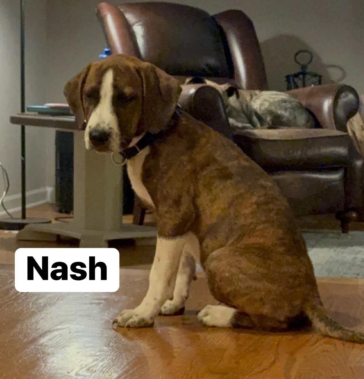 Nash