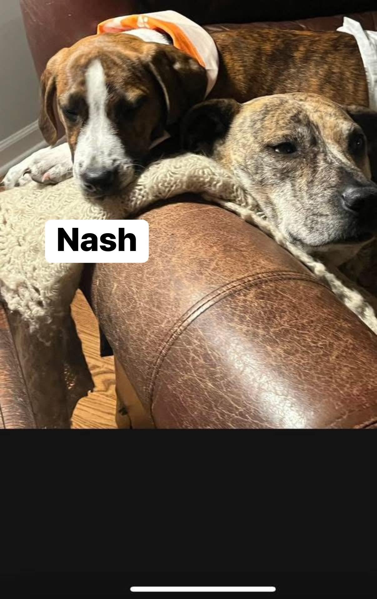 Nash