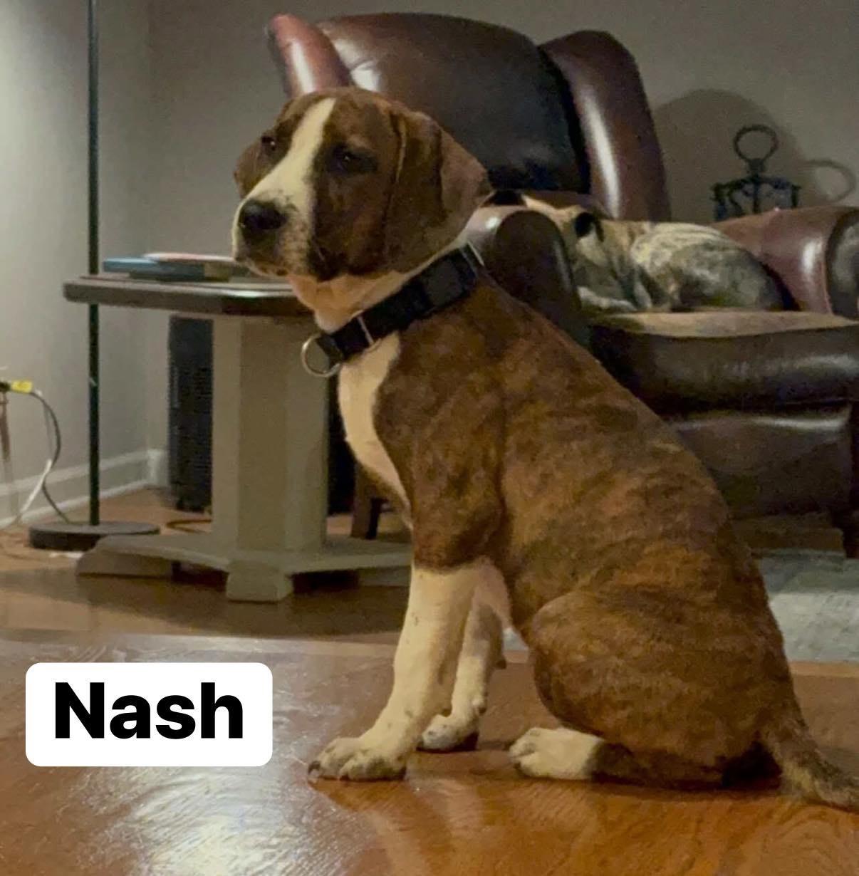 Nash