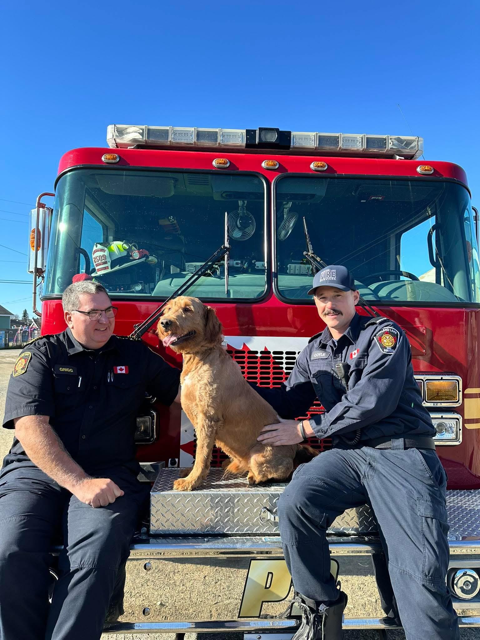 Enlarge Silas, a Adoptable mixed breed in Kirkland Lake, ON image 1/1