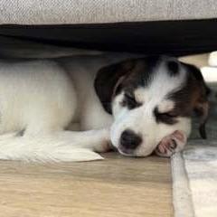 Little Storm (20250807-14)