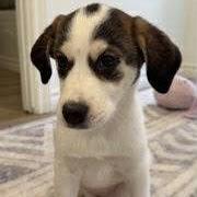 Little Storm (20250807-14) 3