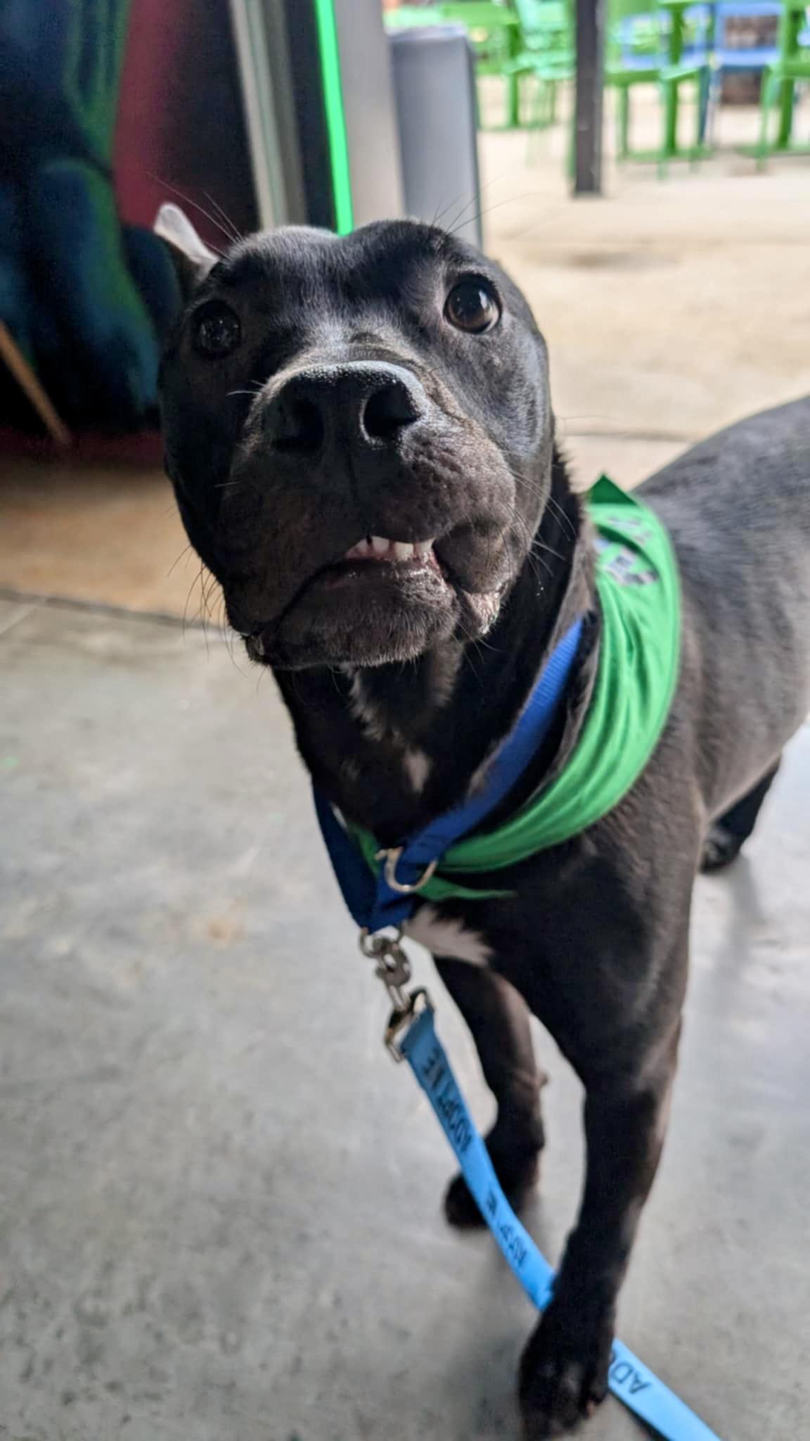 Cosmo