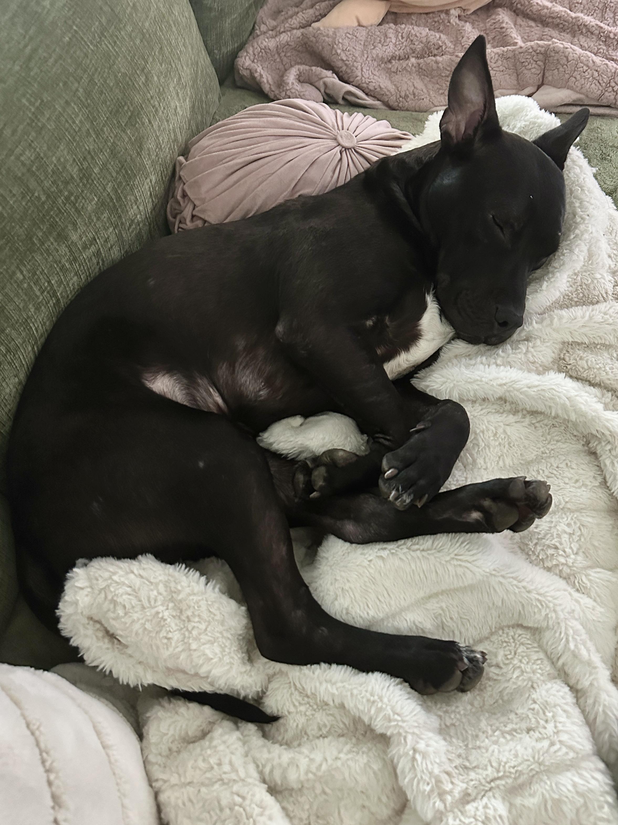 Cosmo