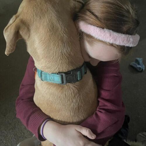 Tucker, Adoptable, Young Male Mixed Breed & Mixed Breed.