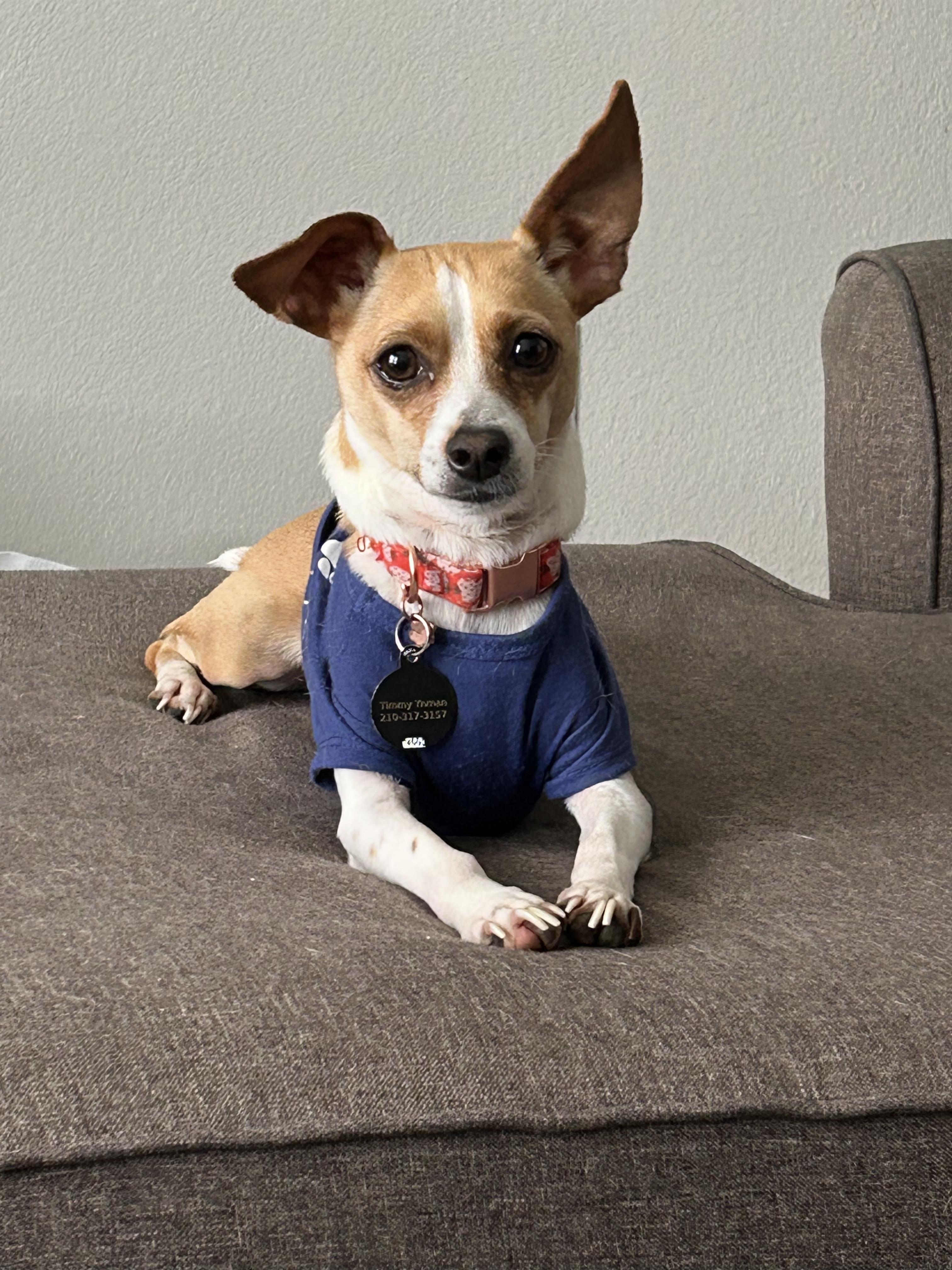 Tim