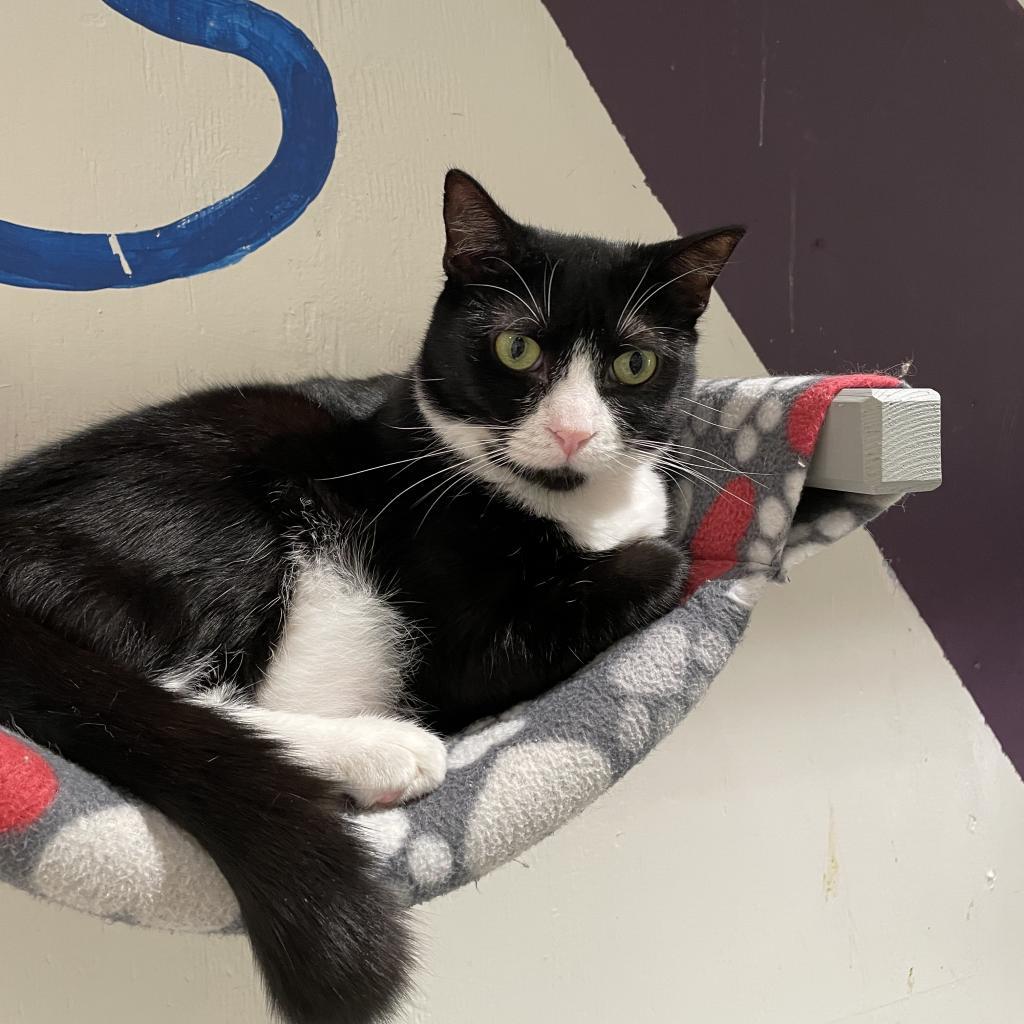 Twinkle 1 — thumbnail 2