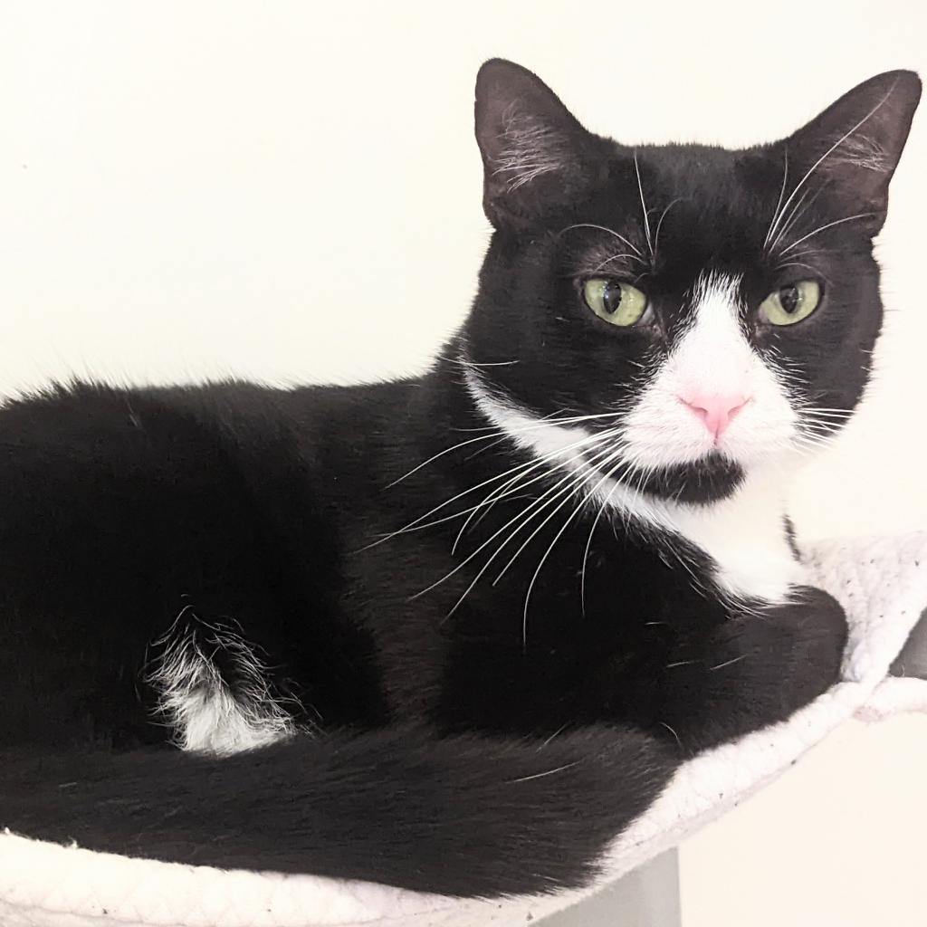 Twinkle 1 — thumbnail 5