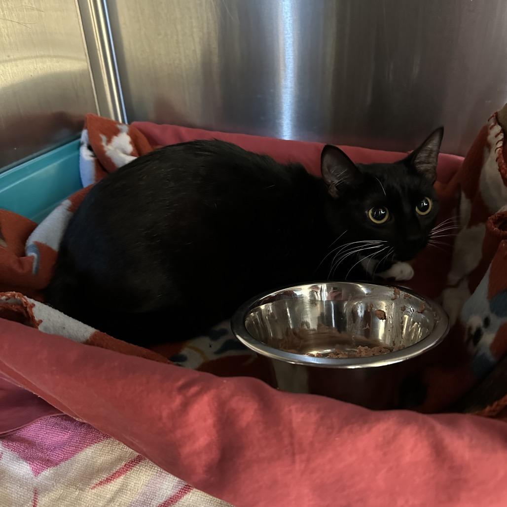 Whitney — thumbnail 2