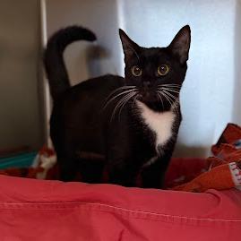 Whitney — thumbnail 3