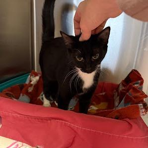 Whitney — thumbnail 4