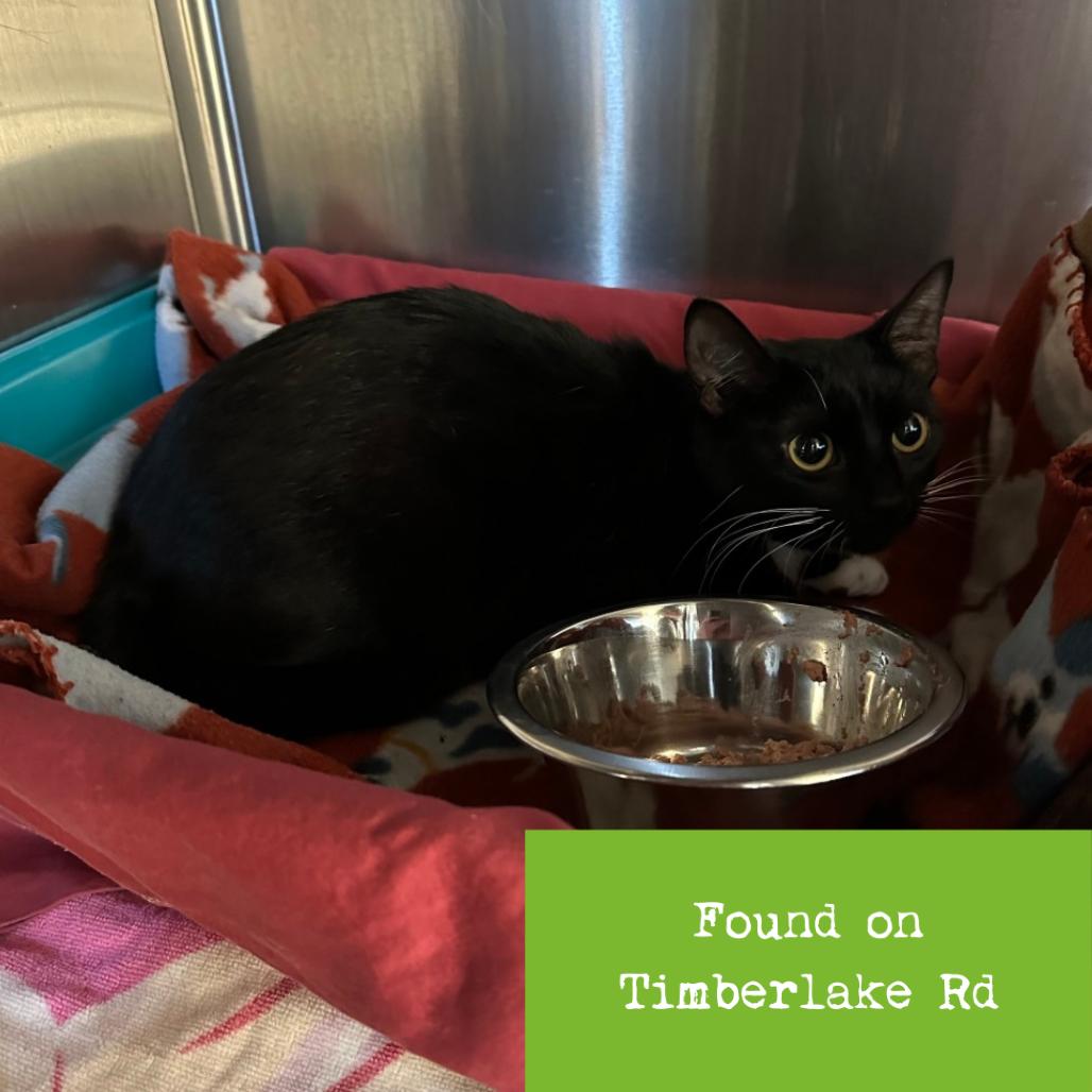 Whitney — thumbnail 5