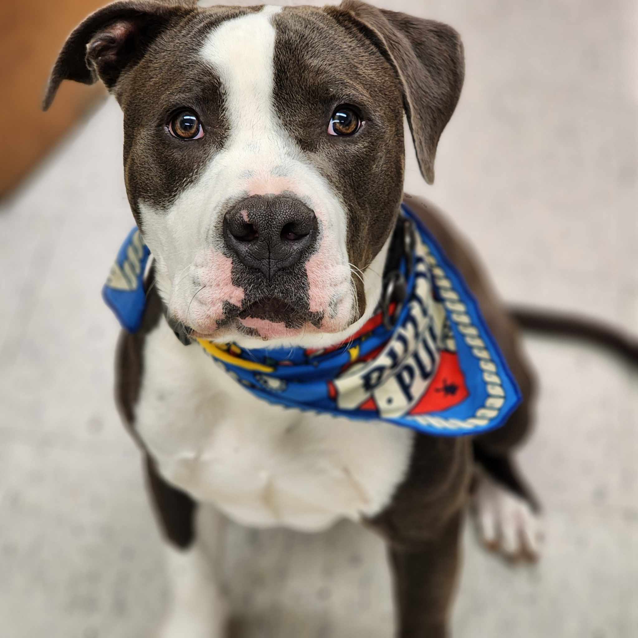 Finnegan