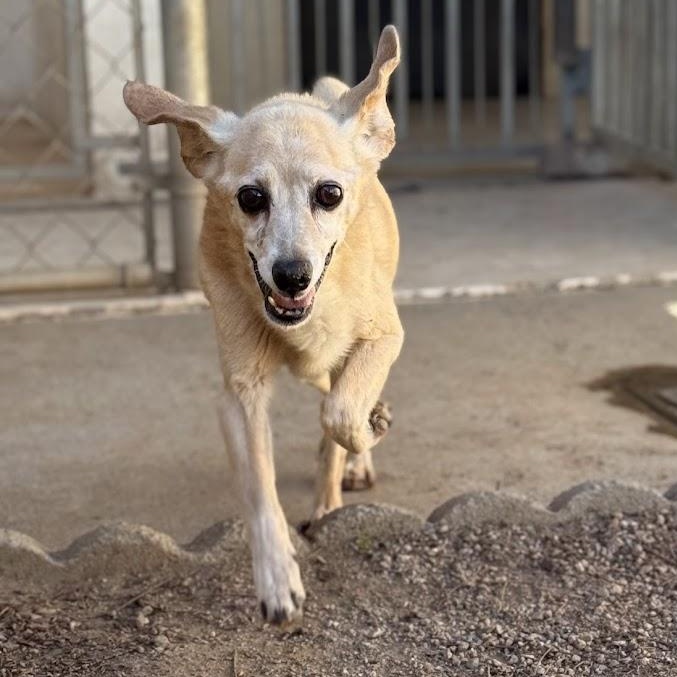 Mili — thumbnail 3