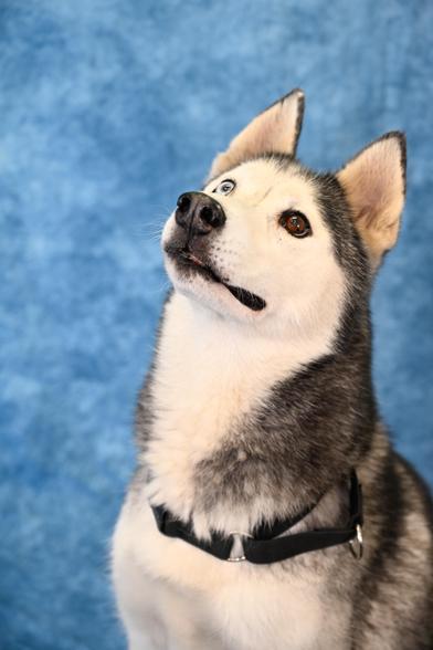 Everest — thumbnail 6