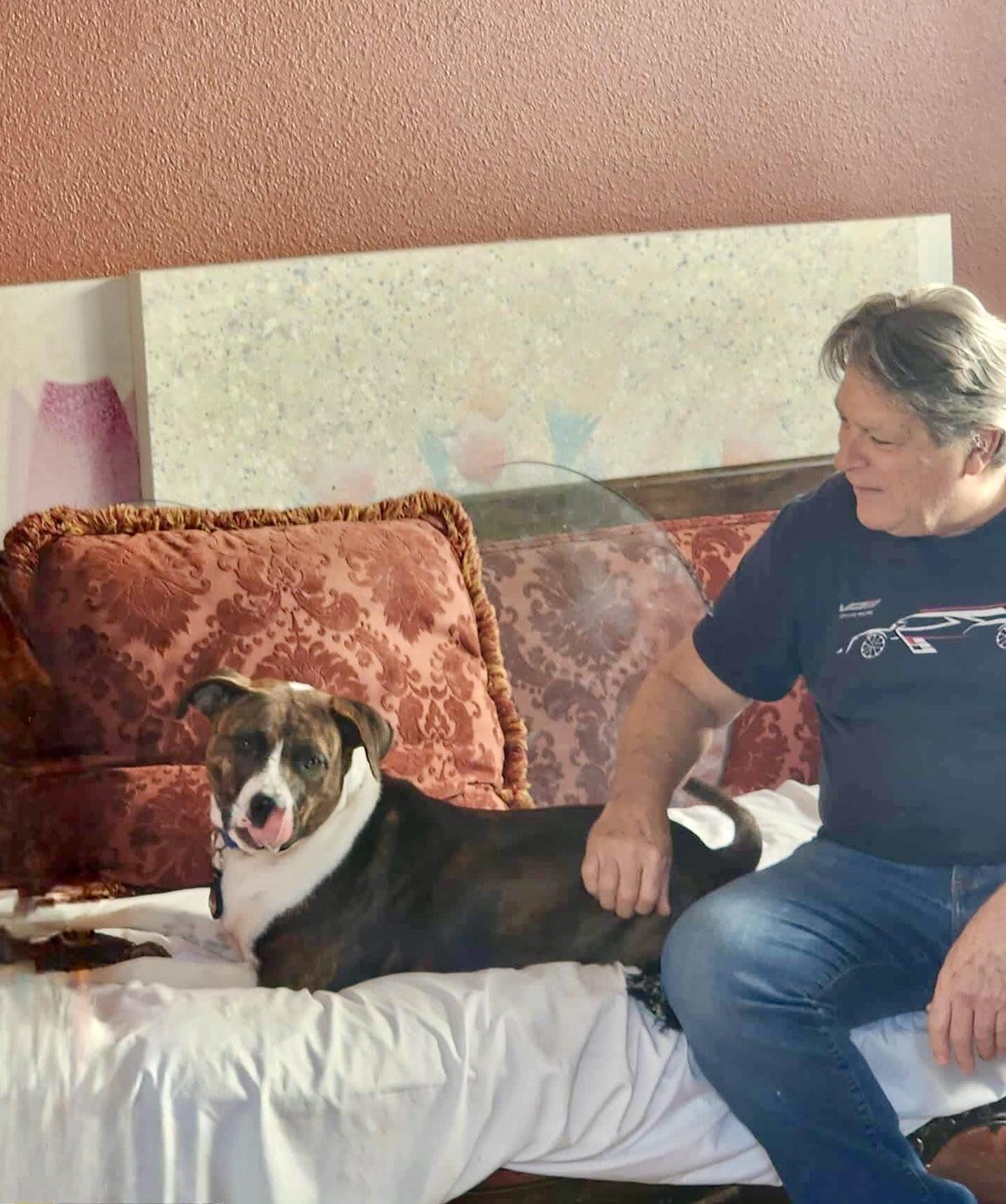 Enlarge Narni, a Adoptable mixed breed in Boulder, CO image 6/6