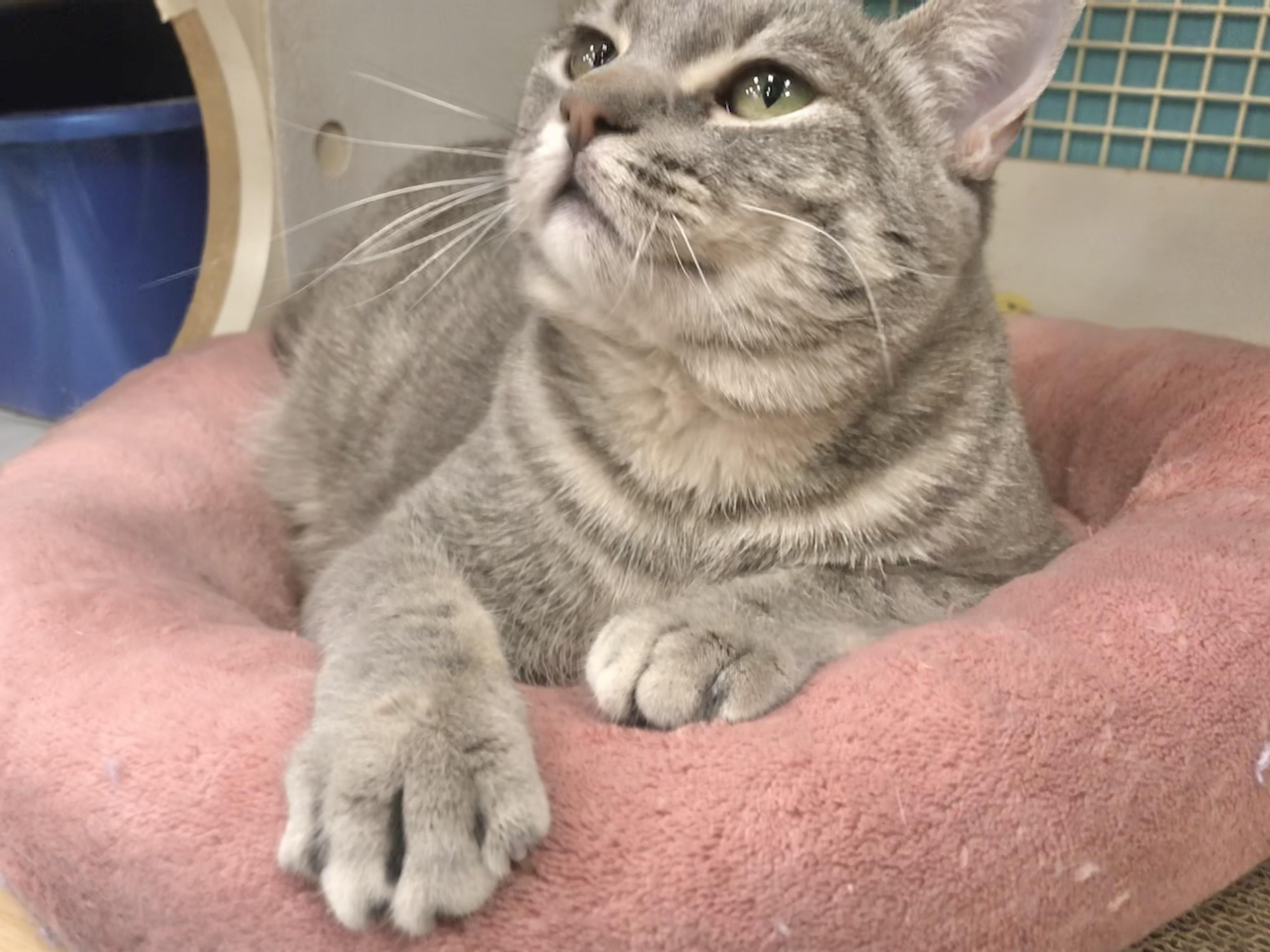 Glacier — thumbnail 2