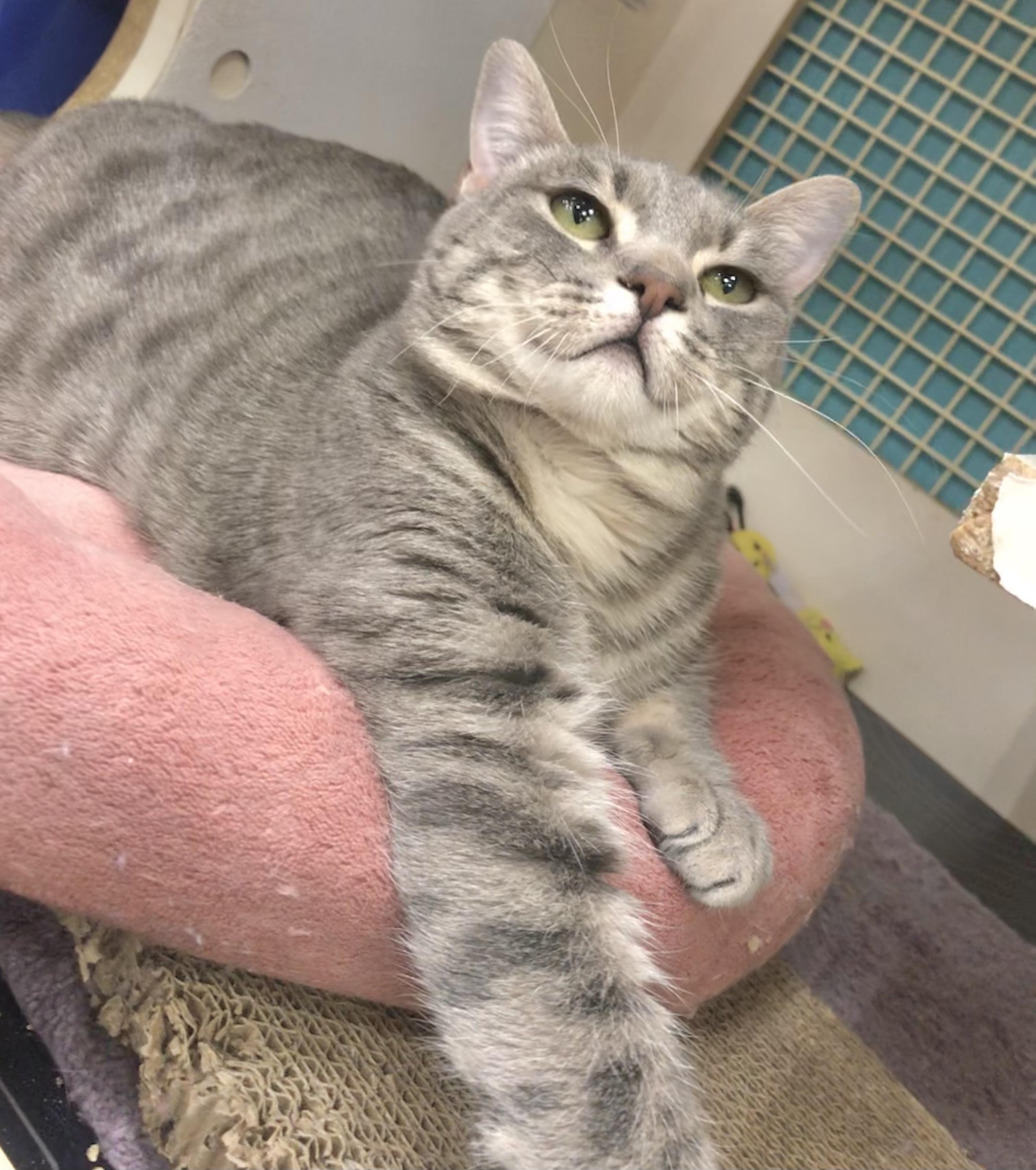 Glacier — thumbnail 4