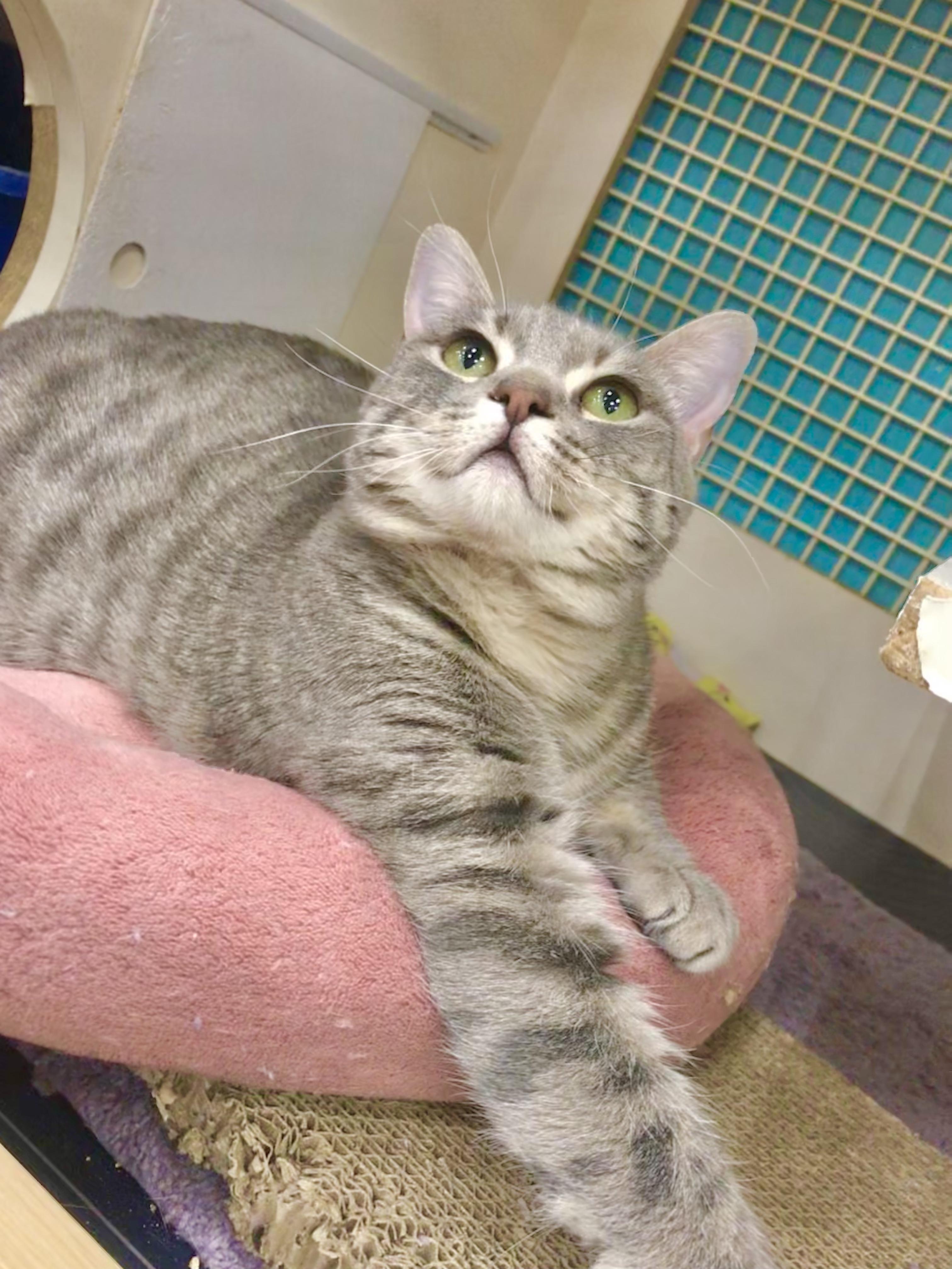 Glacier — thumbnail 5