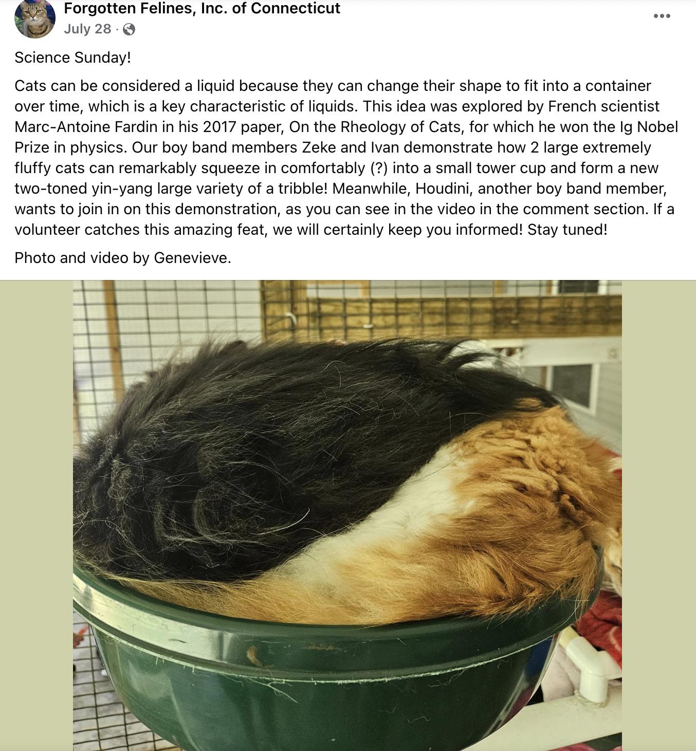 Ivan & Zeke thumbnail 2