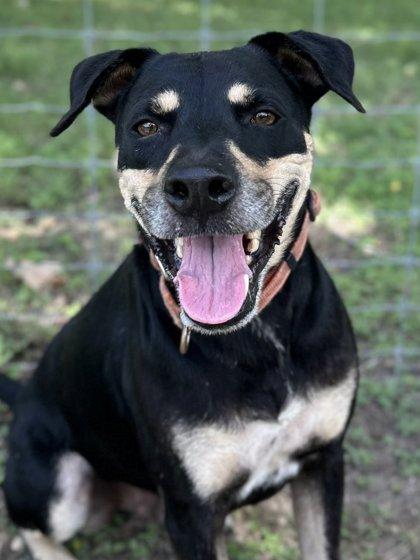 Diego — thumbnail 2