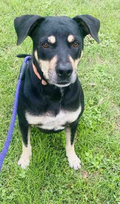 Diego — thumbnail 3