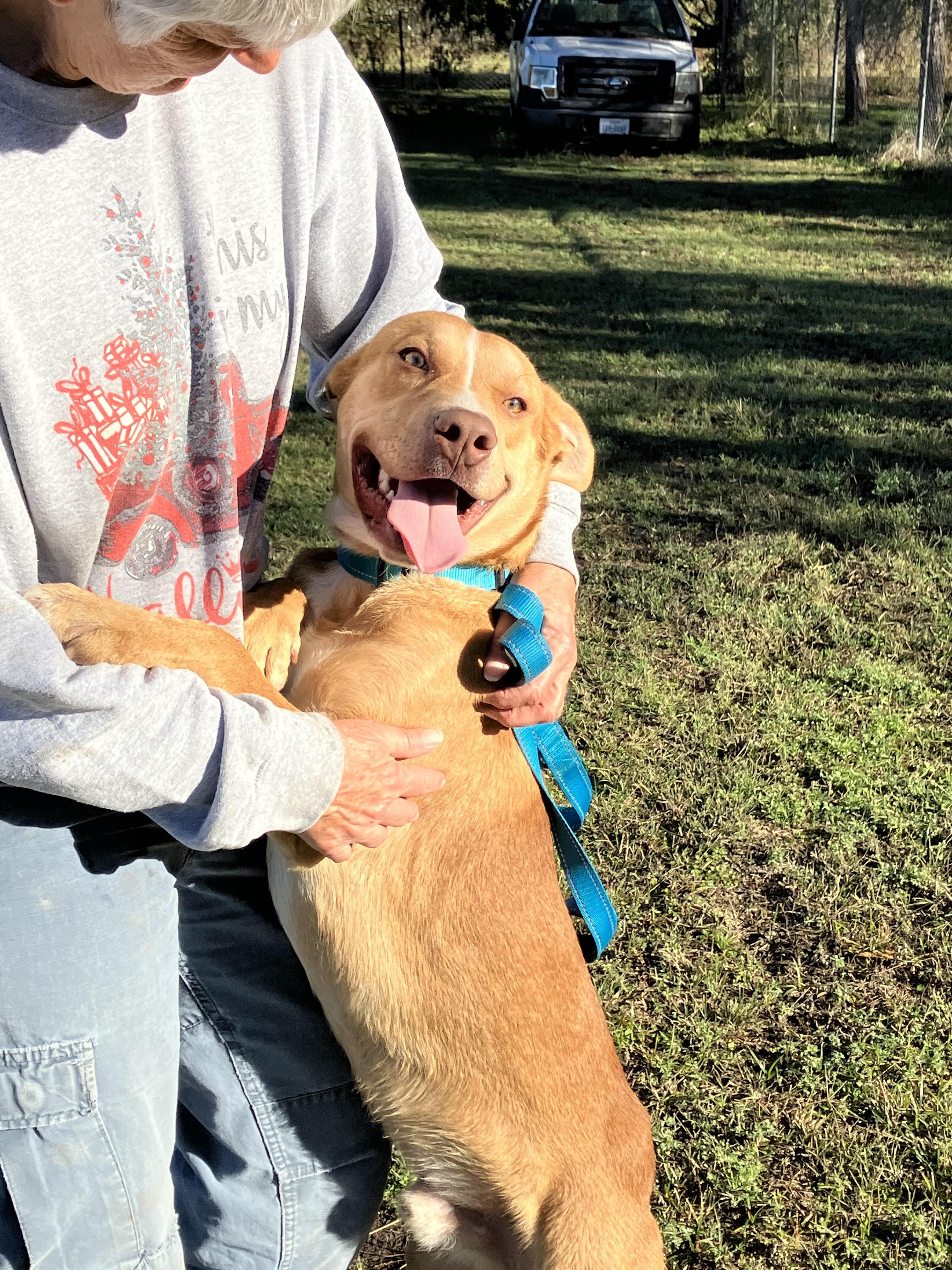 Ham-needs A Hand thumbnail 3