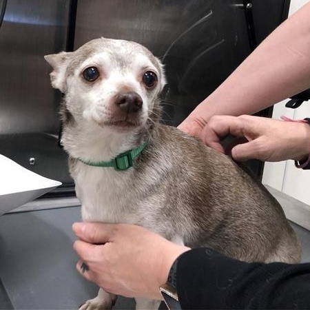 Sergio — thumbnail 2