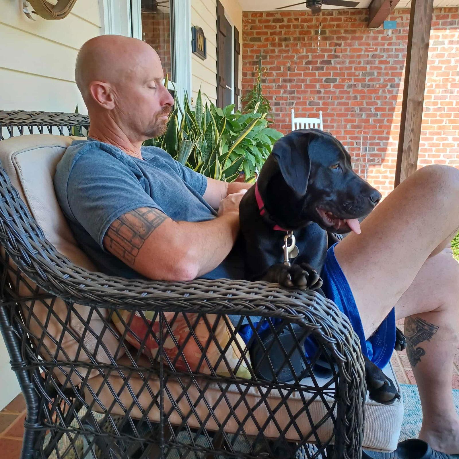 Jett, Adopted, Puppy Female Labrador Retriever.