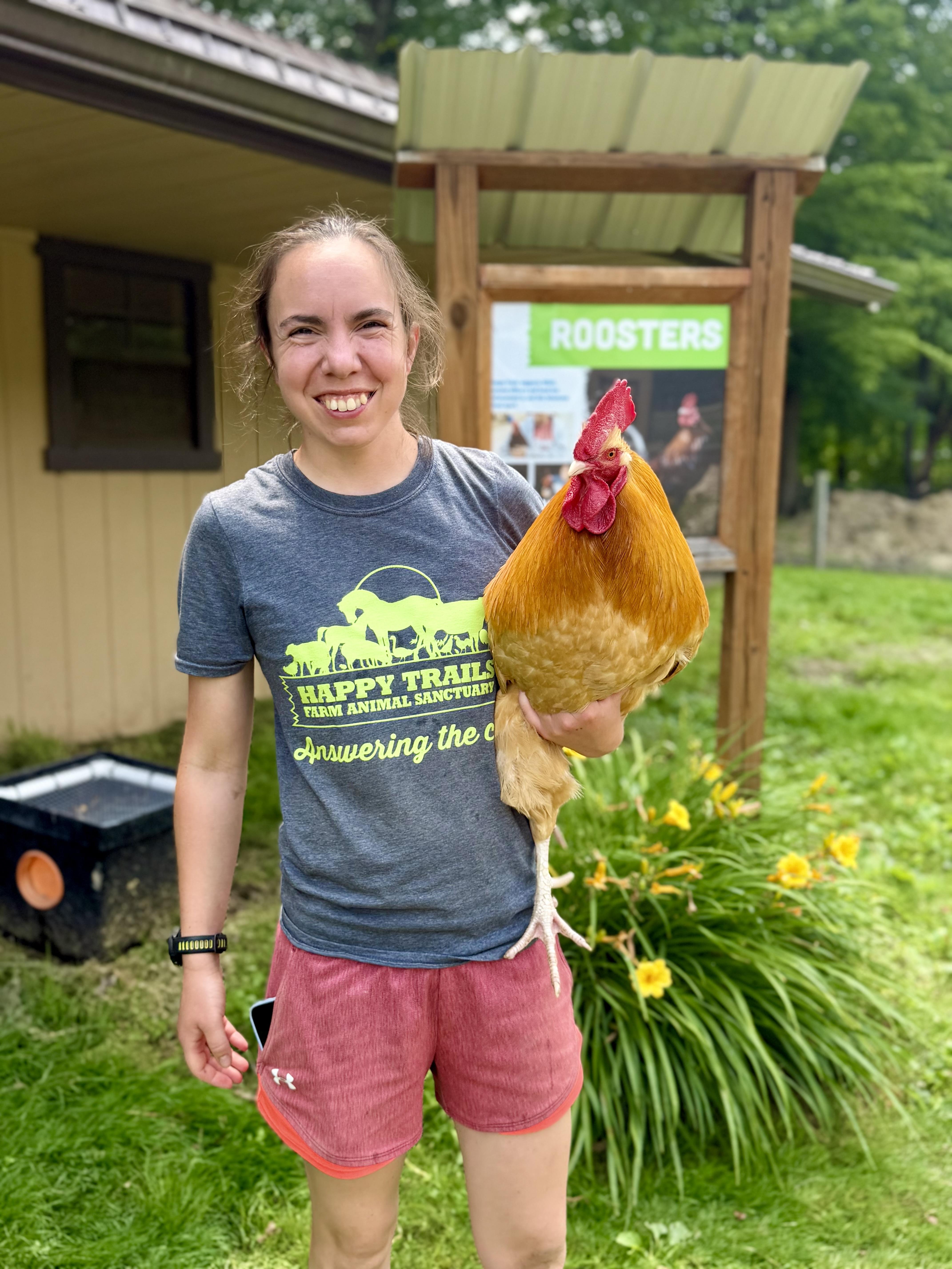 Enlarge Elvis, an adopted Chicken in Ravenna, OH image 2/2