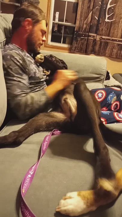 Enlarge Goober, a Adoptable Mixed Breed in Bowdoin, ME video 6/6