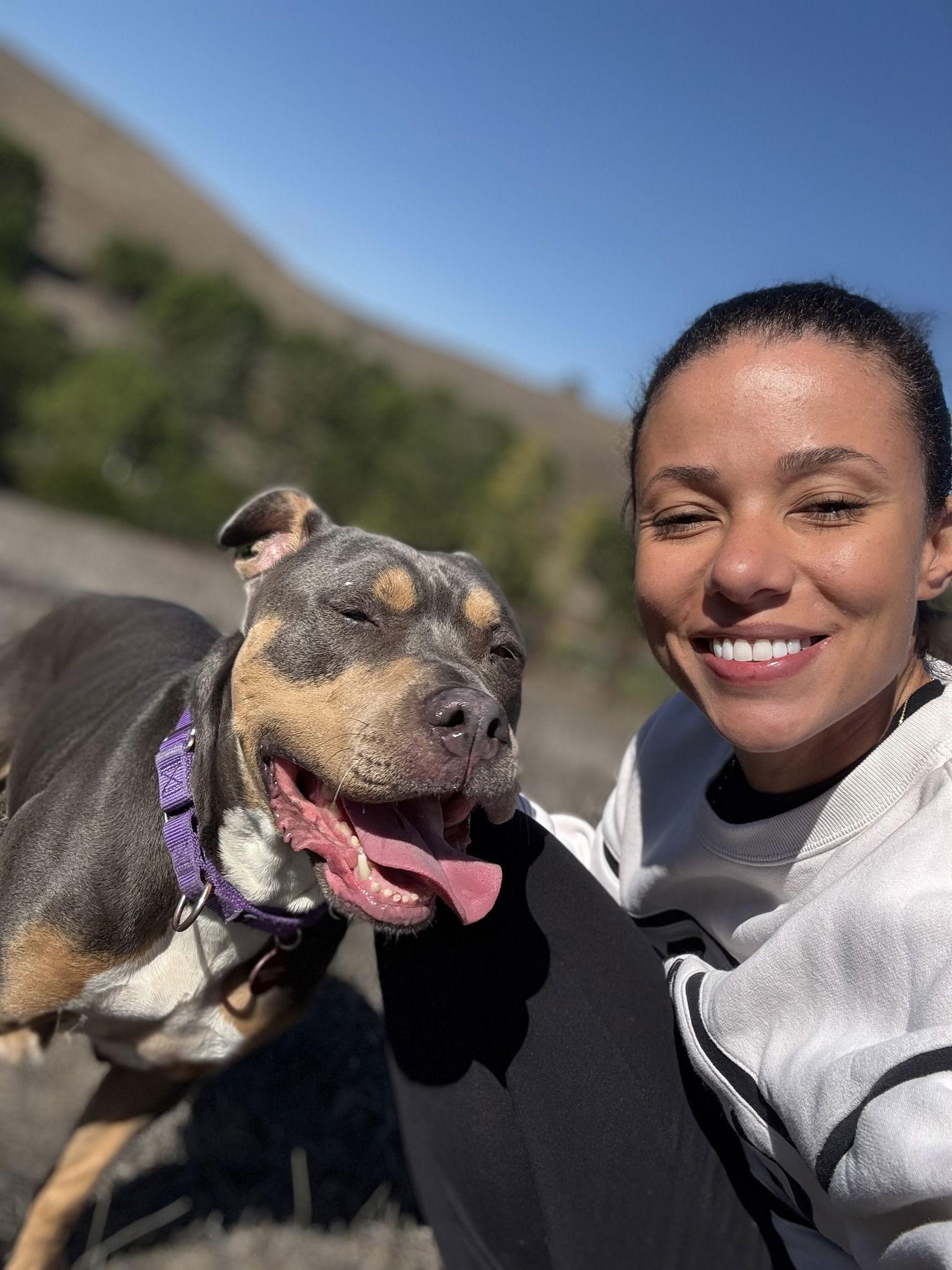 Enlarge Chula 283626, a Adoptable American Bulldog in Petaluma, CA image 2/3