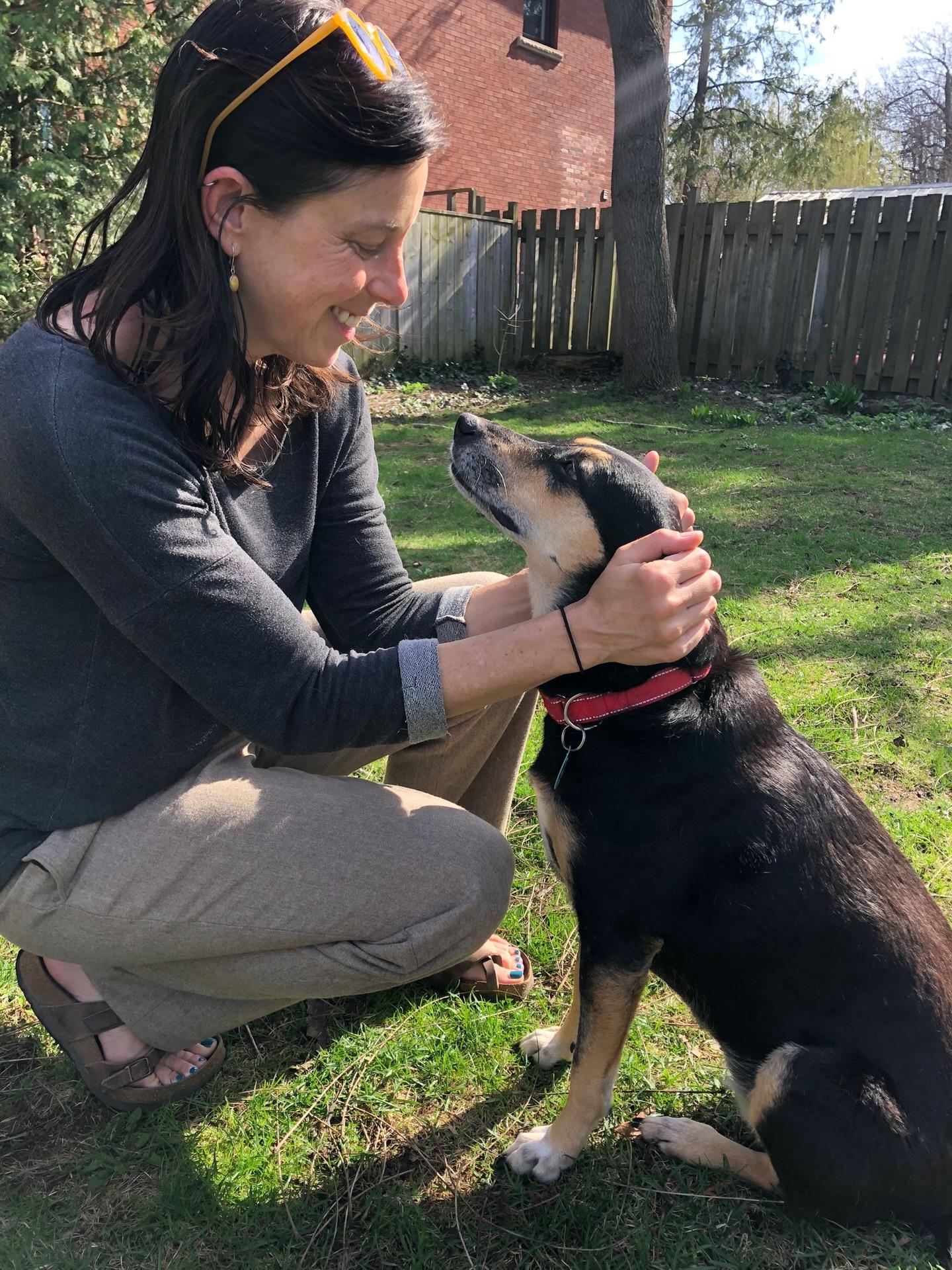 Enlarge Genesis, a Adoptable mixed breed in Erin, ON image 2/6