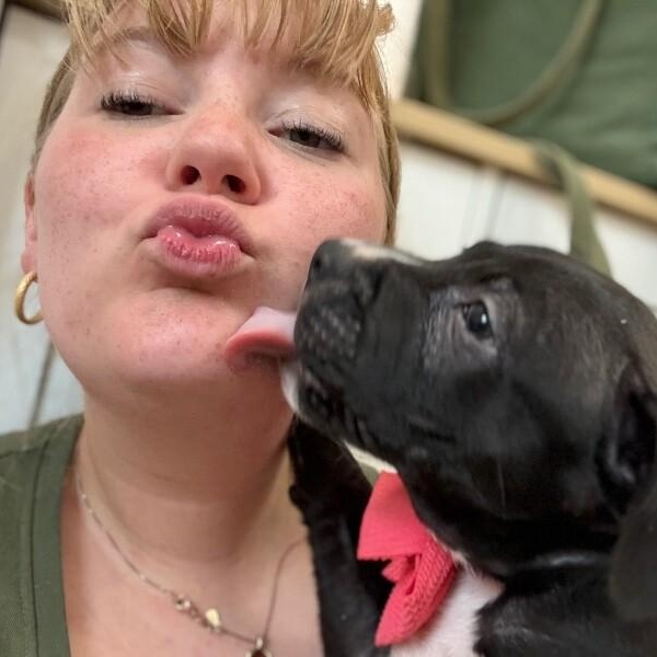 Canyon Journey, a Adoptable mixed breed in Arlington, WA image 2/6