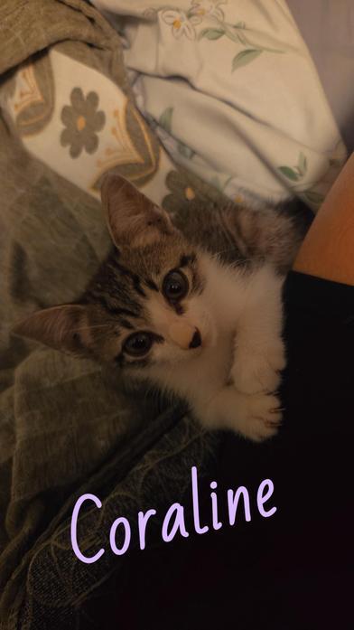 Coraline