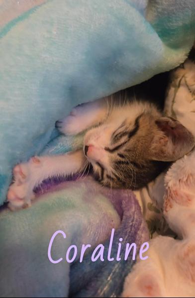 Coraline