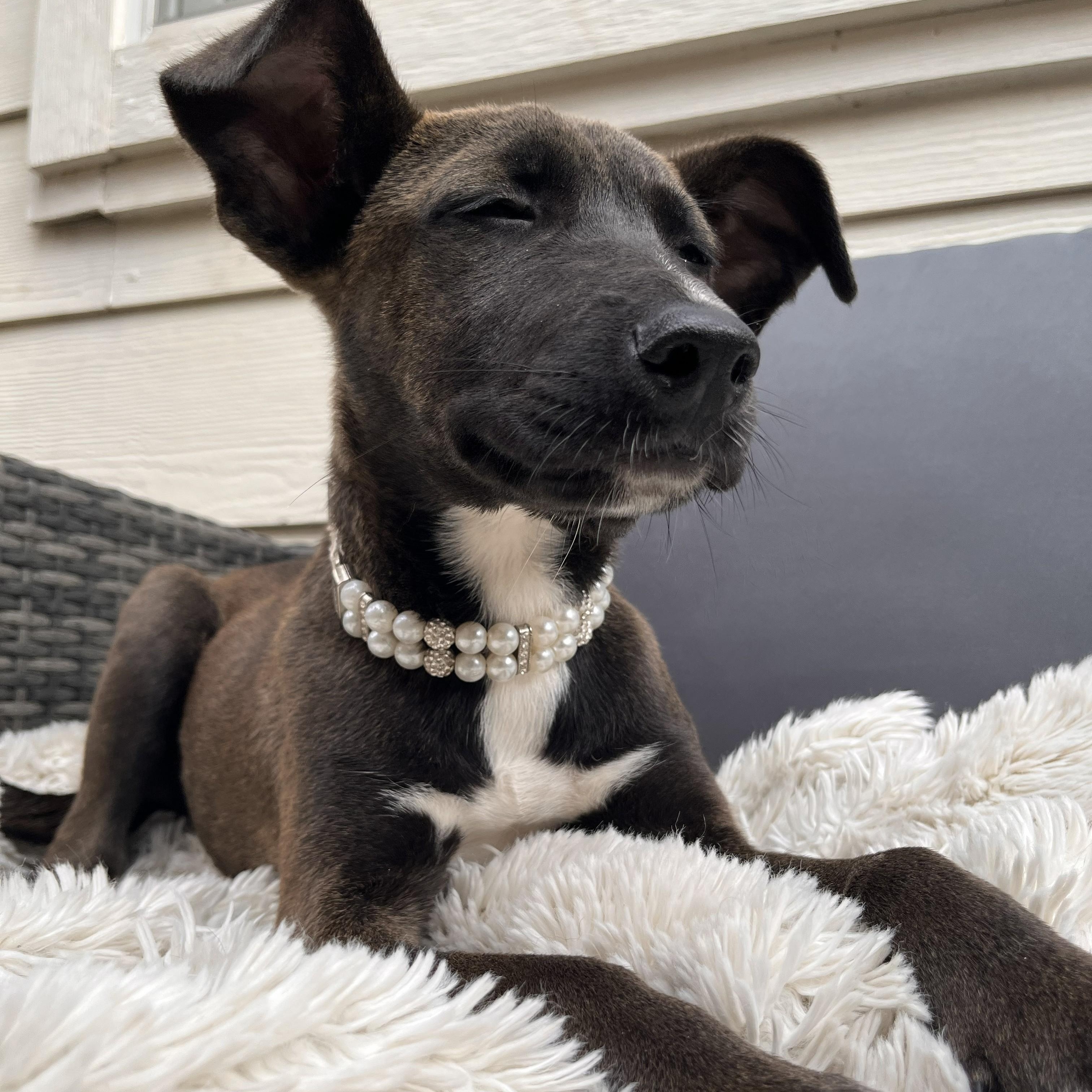 Maracas — thumbnail 2